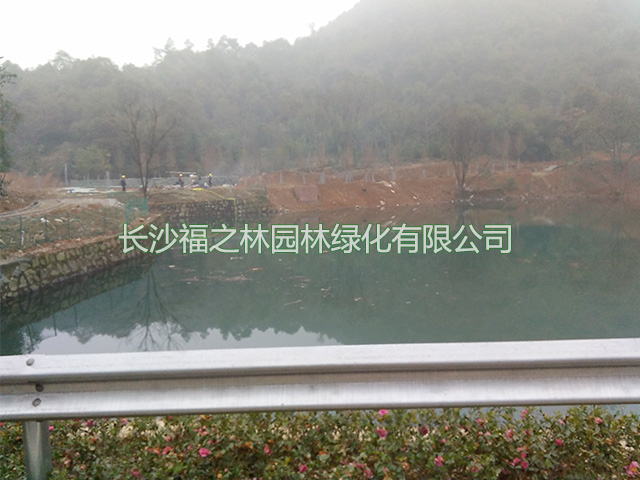 园林绿化