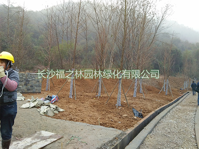 园林绿化