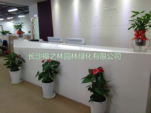 公司案例4
