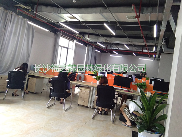 公司案例2