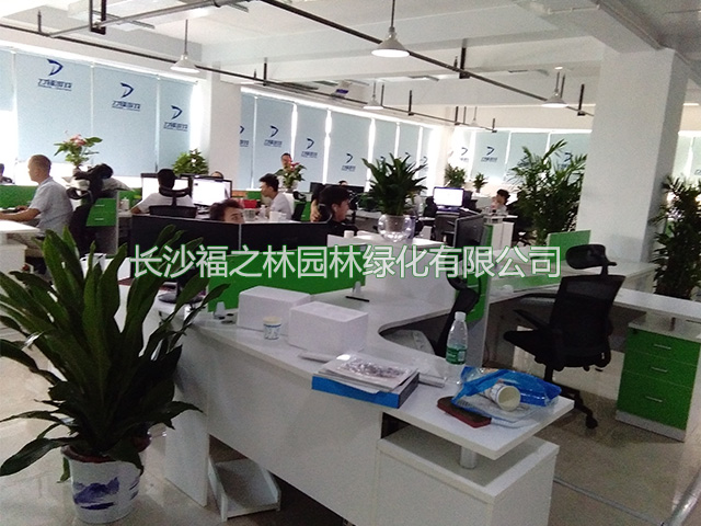 公司案例6