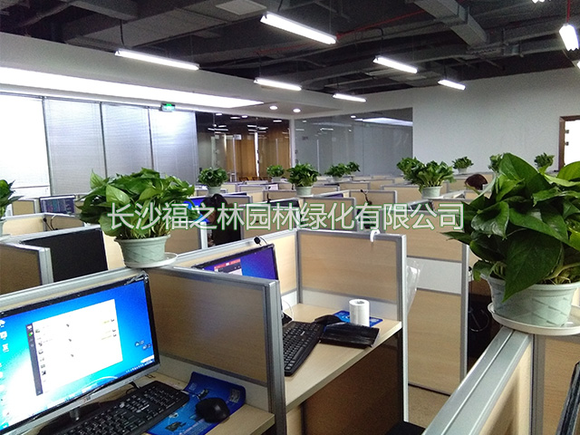 公司案例1