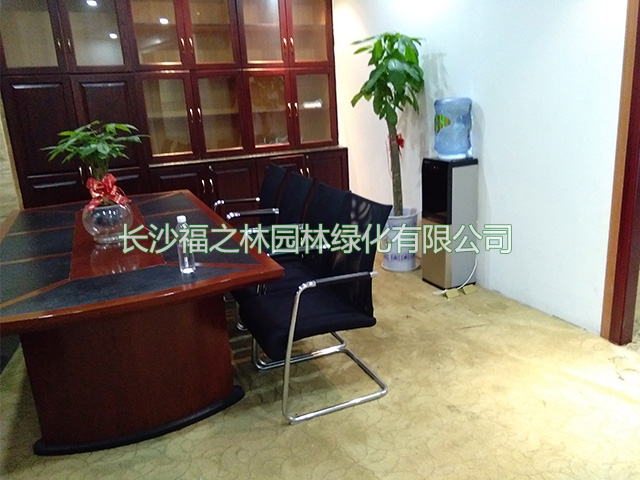 公司案例3