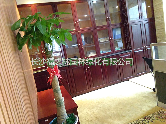 公司案例5