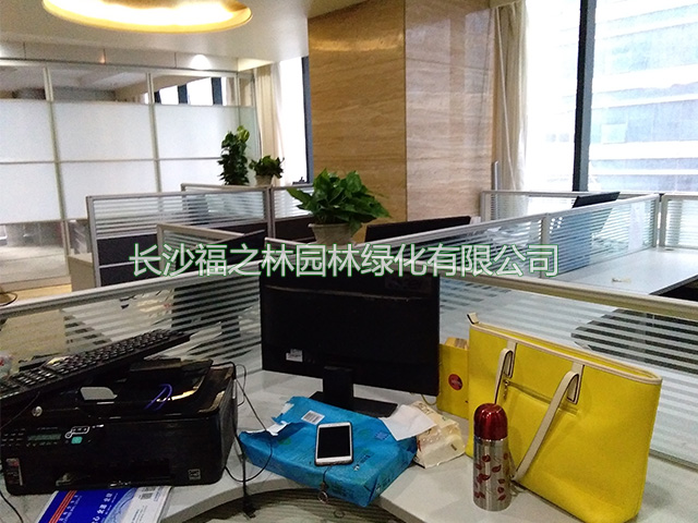 公司案例7