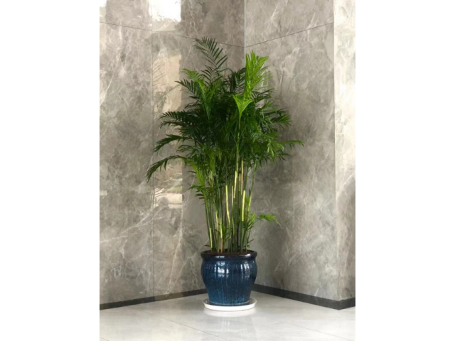 公司案例24