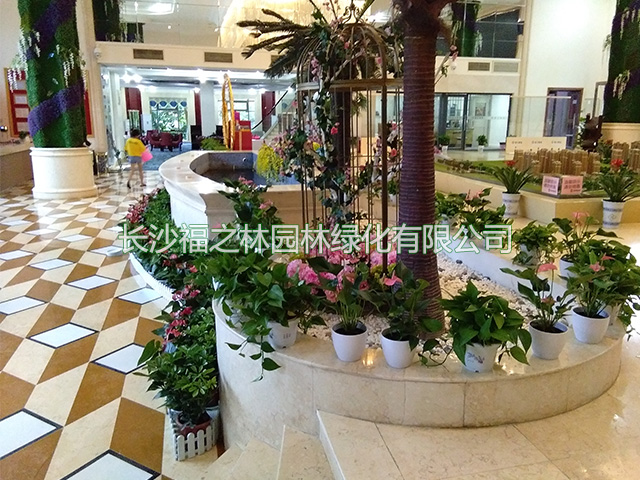 长沙福之林园林绿化有限公司,长沙办公室植物租赁,花卉租赁价格,盆景租摆,植物租摆