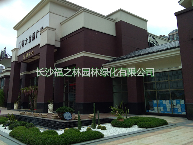 长沙福之林园林绿化有限公司,长沙办公室植物租赁,花卉租赁价格,盆景租摆,植物租摆