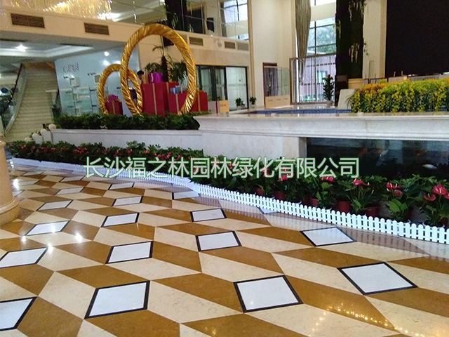 长沙福之林园林绿化有限公司,长沙办公室植物租赁,花卉租赁价格,盆景租摆,植物租摆